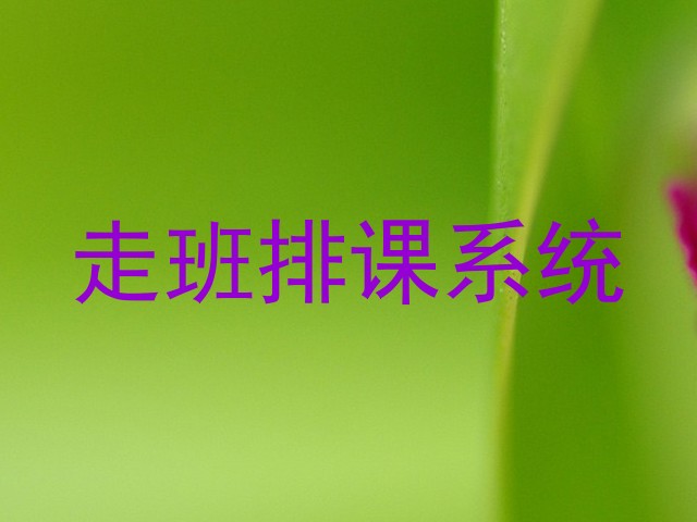 走班排课系统