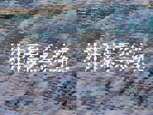 排课系统