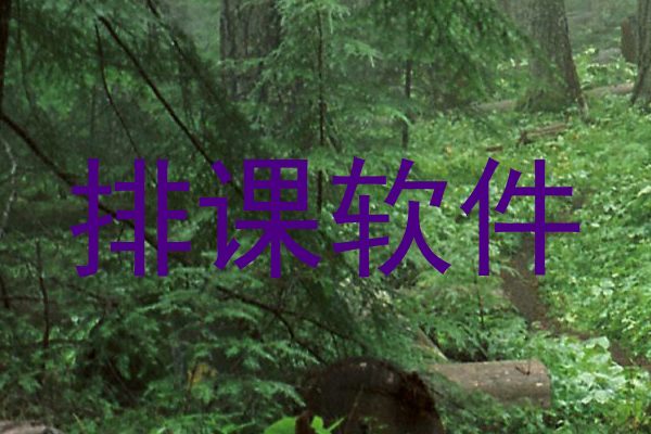排课软件