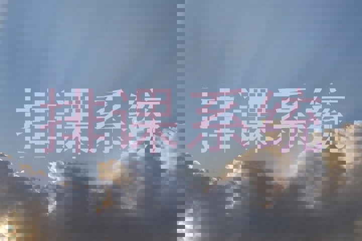 排课系统