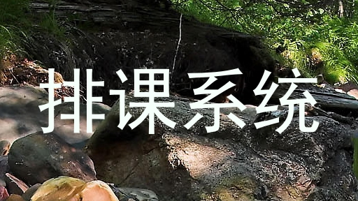 排课系统