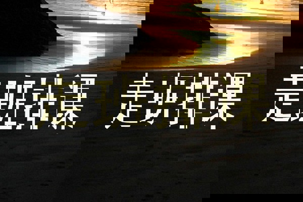 走班排课