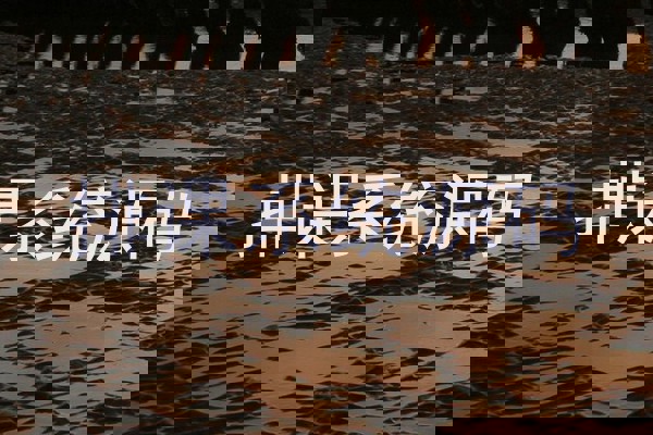 排课系统源码