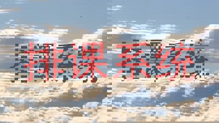 排课系统