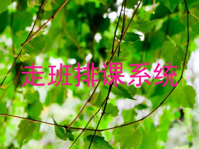 走班排课系统