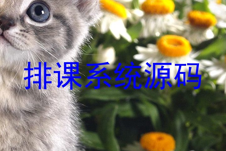 排课系统源码