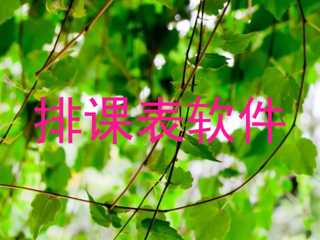 排课表软件