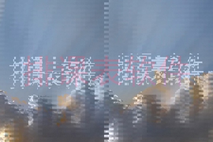 排课表软件