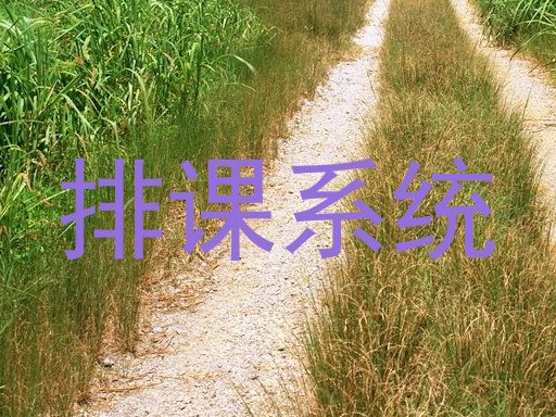 排课系统
