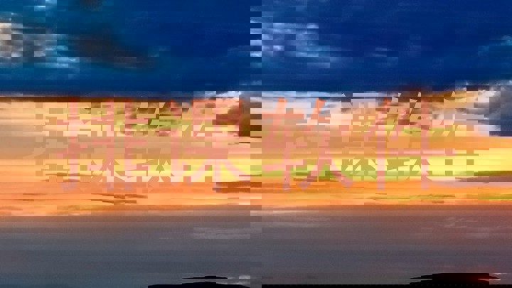 排课软件