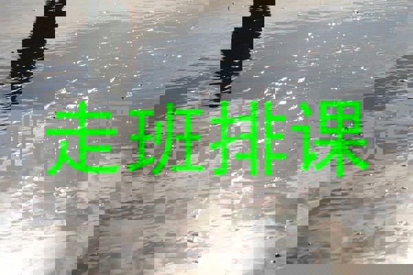 走班排课