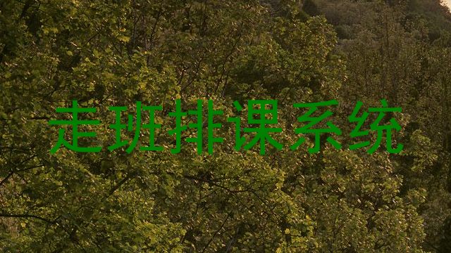 走班排课系统