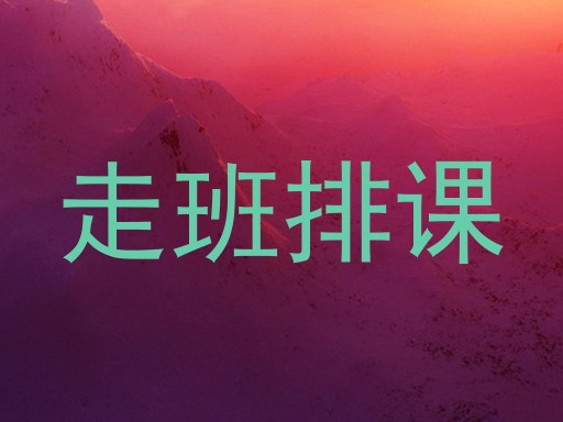 走班排课