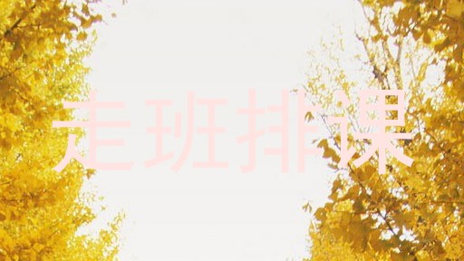 走班排课