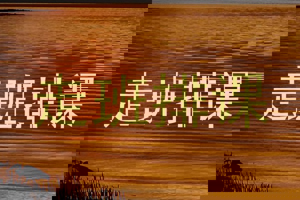 走班排课