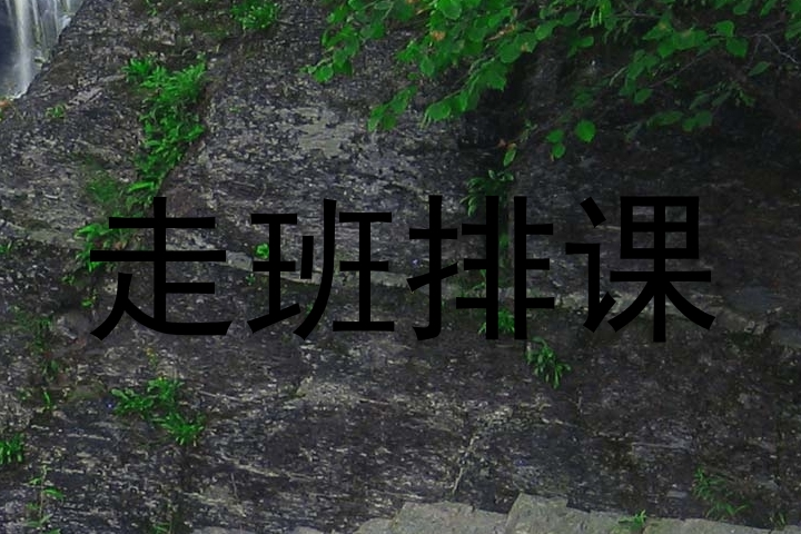 走班排课