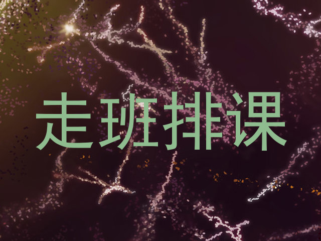 走班排课