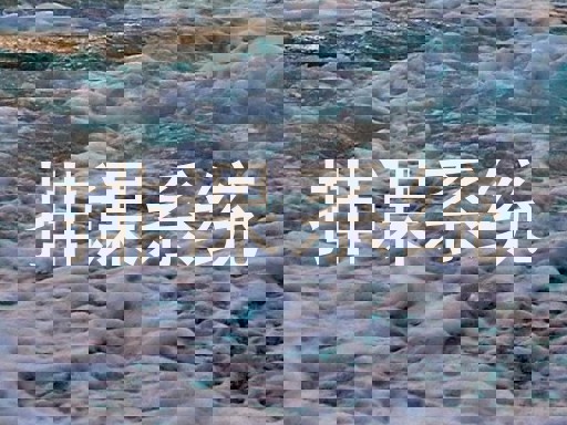 排课系统