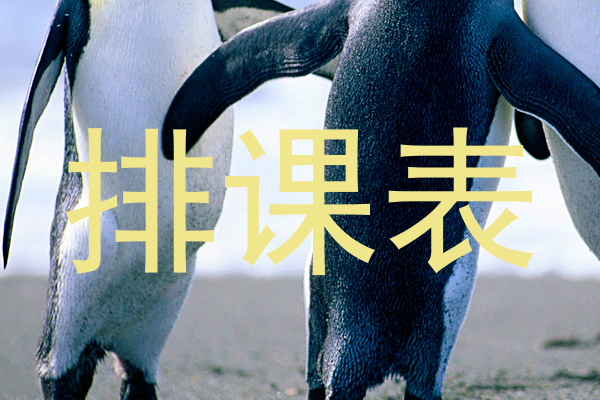 排课表