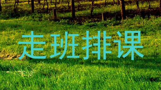 走班排课