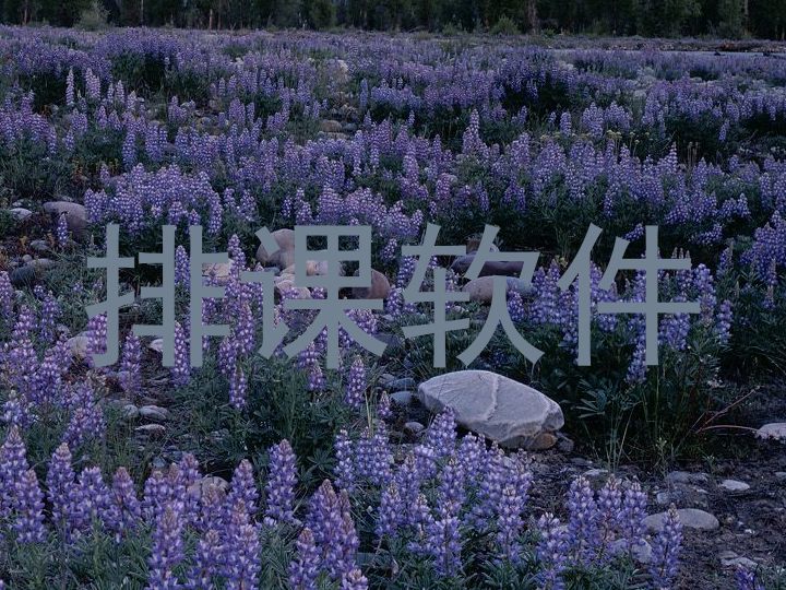 排课软件