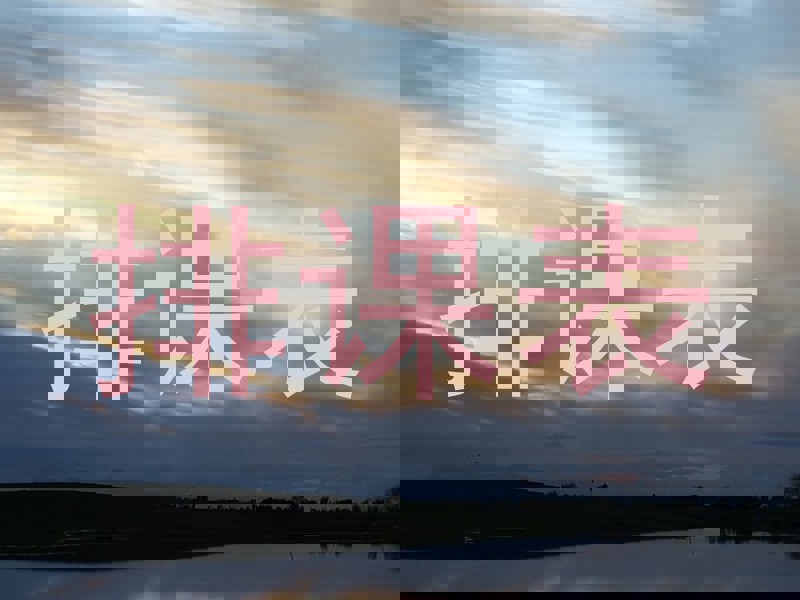 排课表