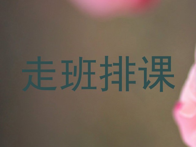 走班排课
