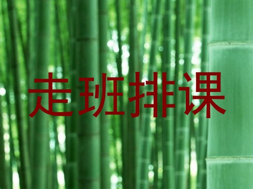 走班排课