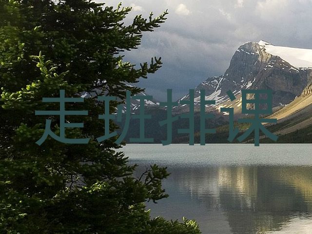 走班排课