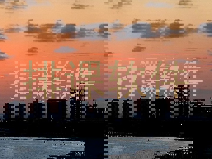 排课软件