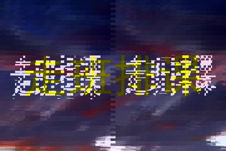 走班排课