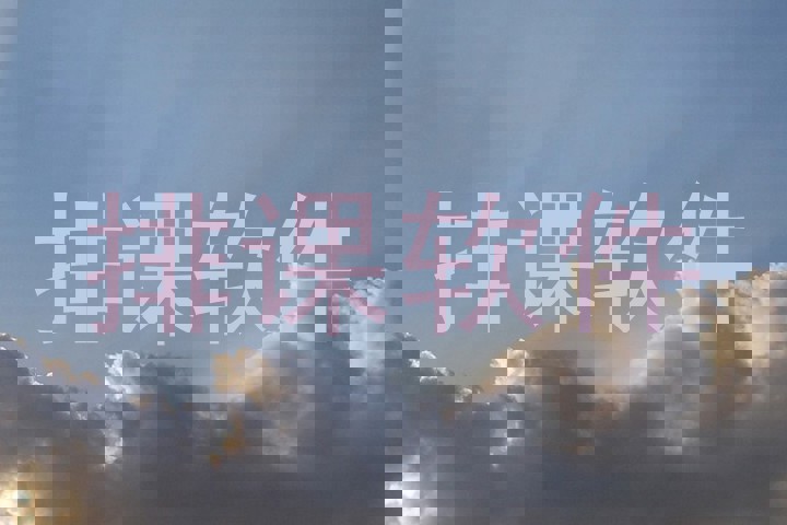 排课软件