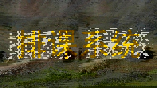 排课系统