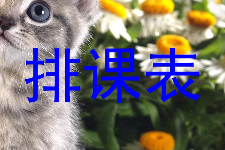 排课表
