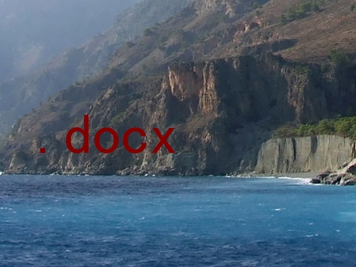.docx