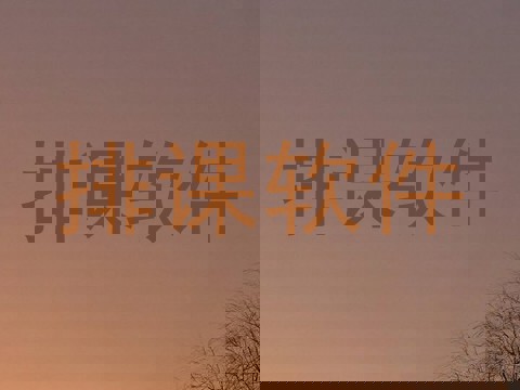 排课软件