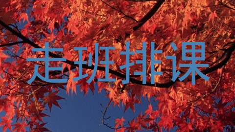 走班排课
