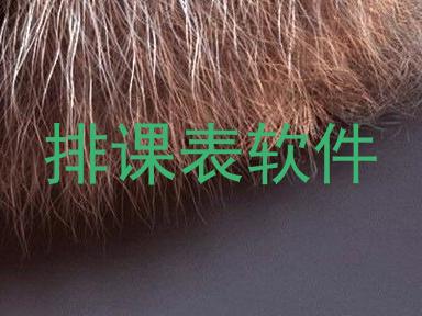 排课表软件