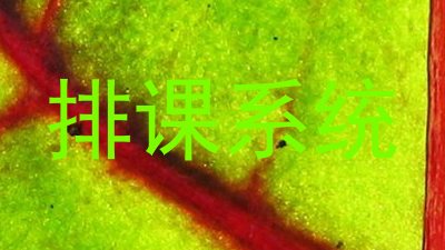 排课系统