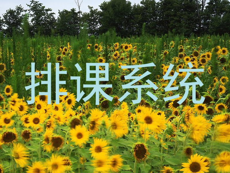 排课系统