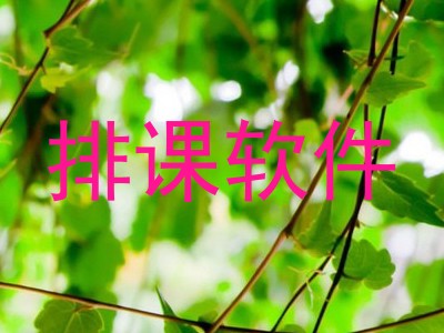 排课软件