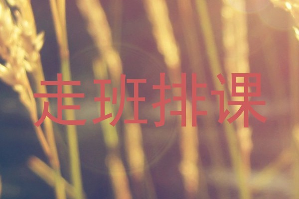 走班排课