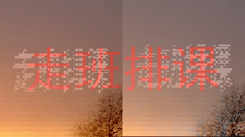 走班排课