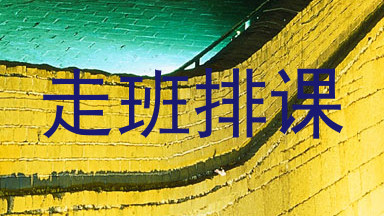 走班排课