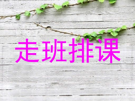 走班排课