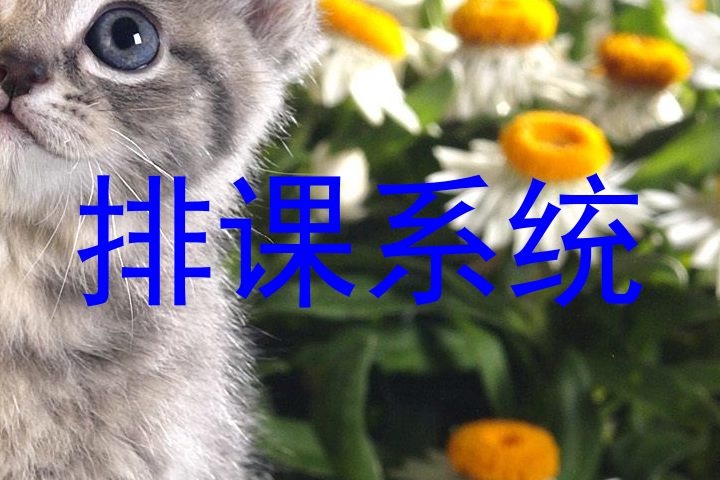 排课系统