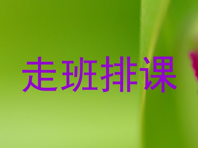 走班排课