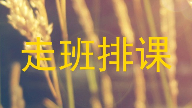 走班排课