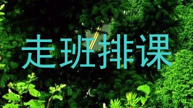 走班排课