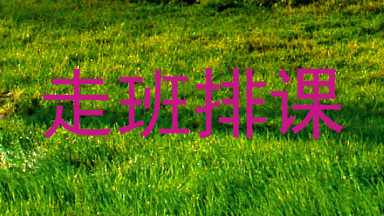 走班排课